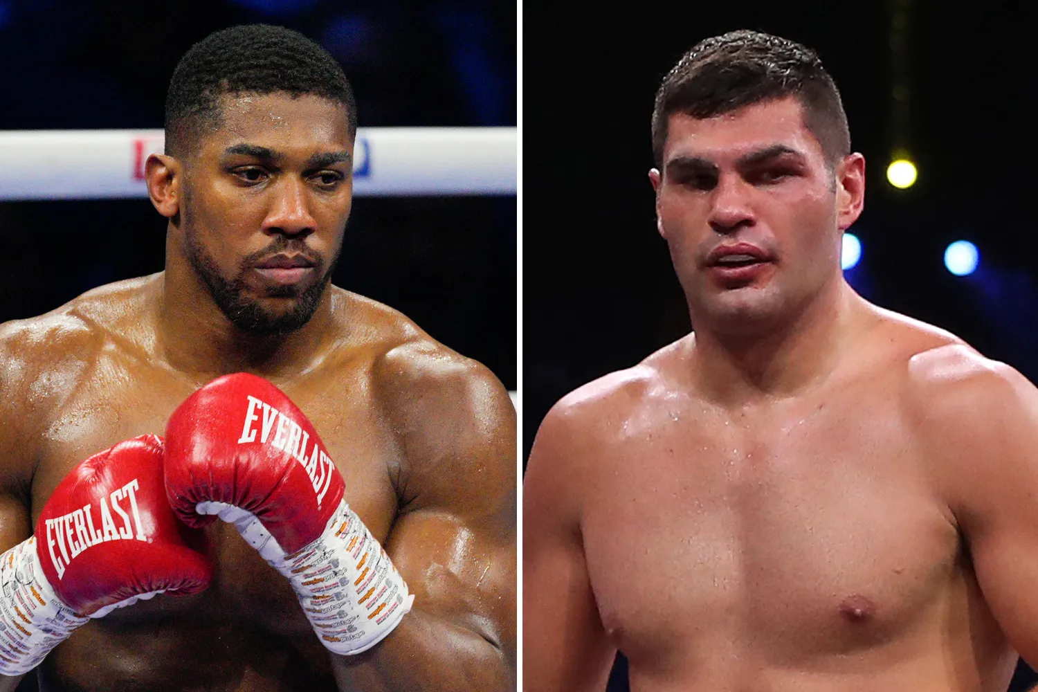 Filip Hrgovic Saying Antony Joshua should Retire
