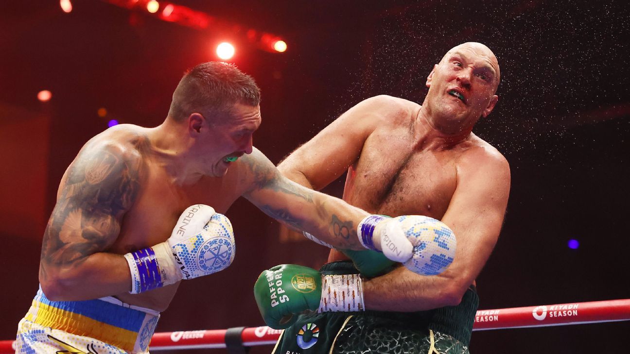 fury and usyk